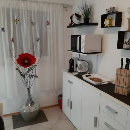 Olga Apartmán Umag