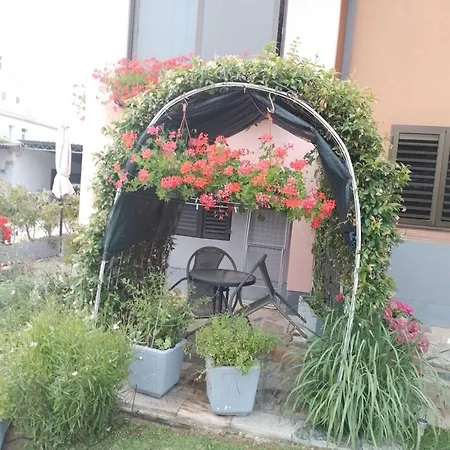 Olga Apartament Umag