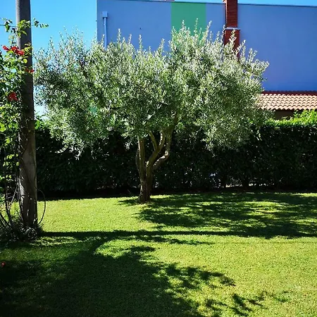 Olga Apartmán Umag