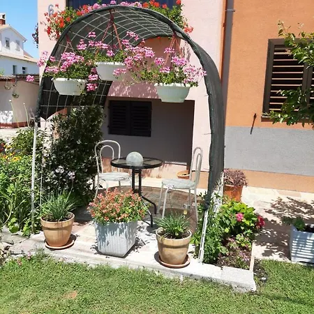 Apartman Olga *