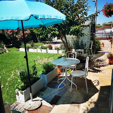 Apartman Olga